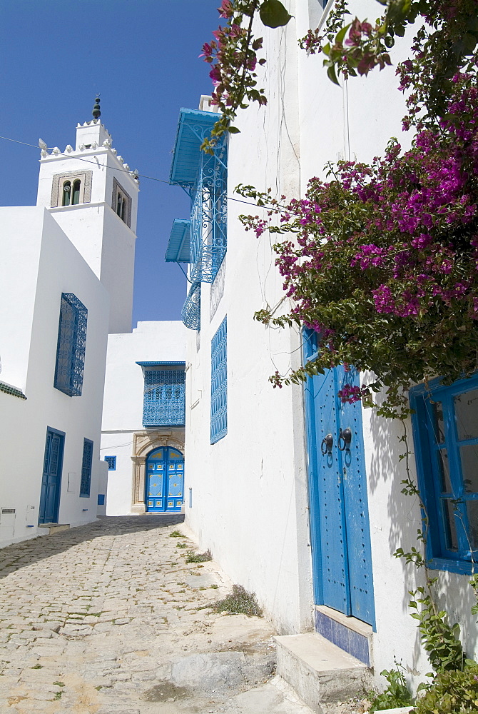 Sidi Bou Said, Tunisia, North Africa, Africa