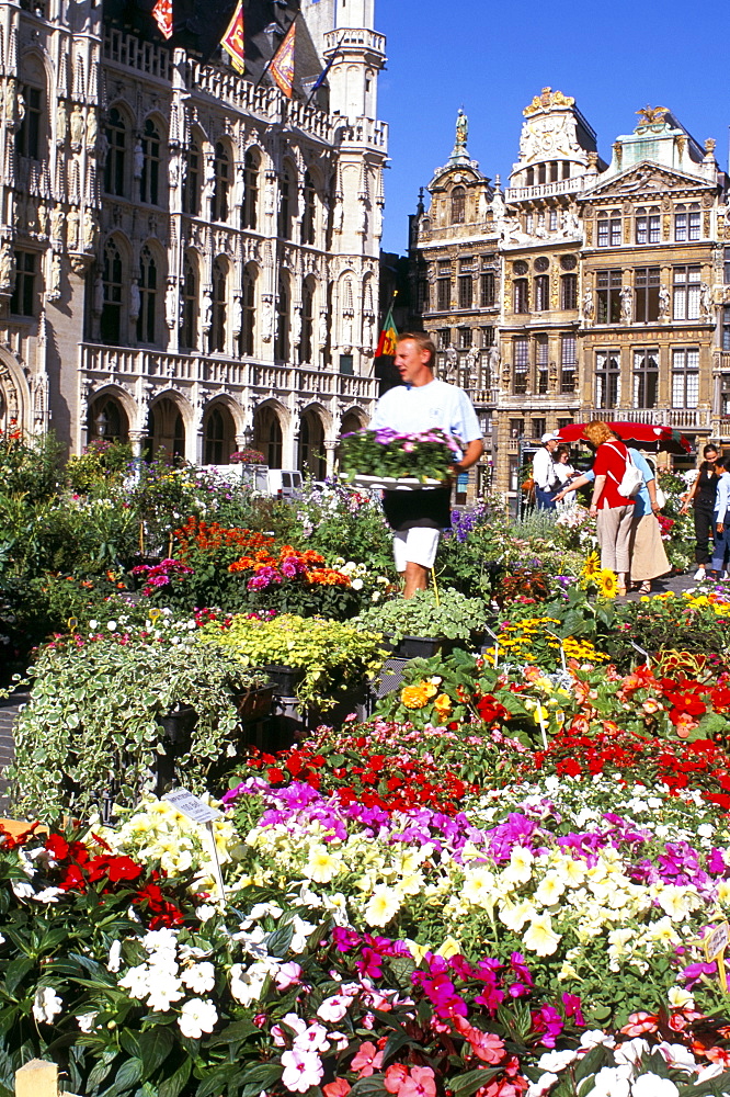 Grand Place, Brussels, Belgium, Europe