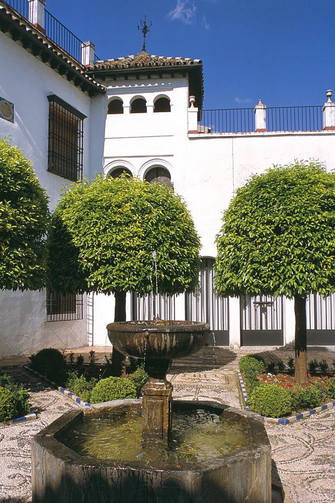 Cordoba, Andalucia (Andalusia), Spain, Europe