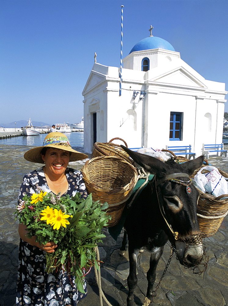 Flower seller and donkey, Mykonos, Cyclades Islands, Greek Islands, Greece, Europe