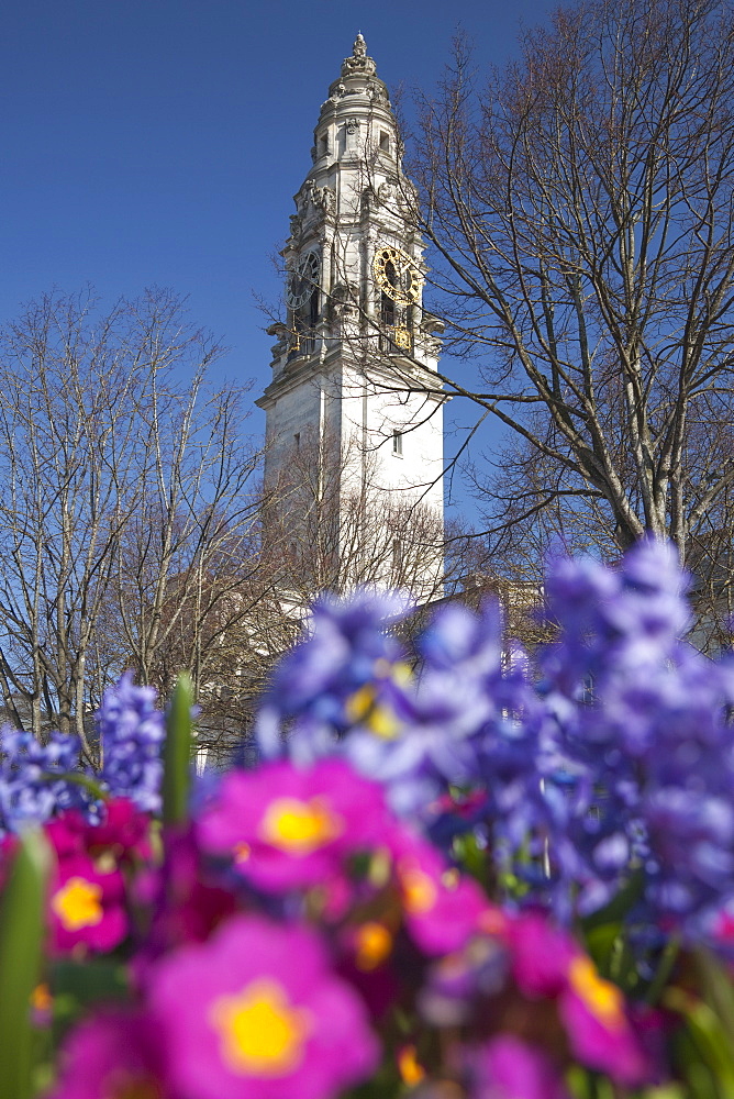 City Hall in Civic Centre, Cardiff, Wales, United Kingdom, Europe