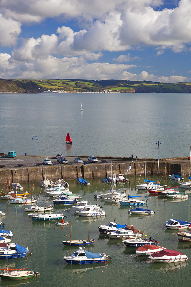 Saundersfoot Harbour, Pembrokeshire, Dyfed, Wales, United Kingdom, Europe