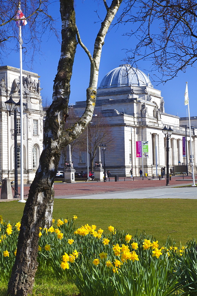 The National Museum of Wales, Cardiff, Wales, United Kingdom, Europe 