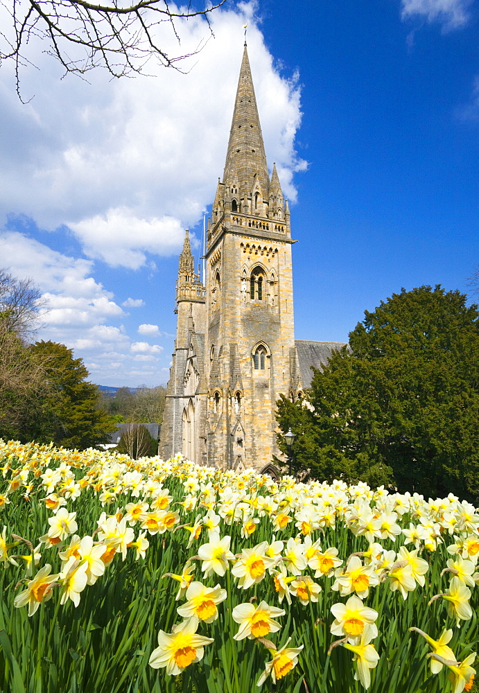 Llandaff Cathedral, Llandaff, Cardiff, Wales, United Kingdom, Europe