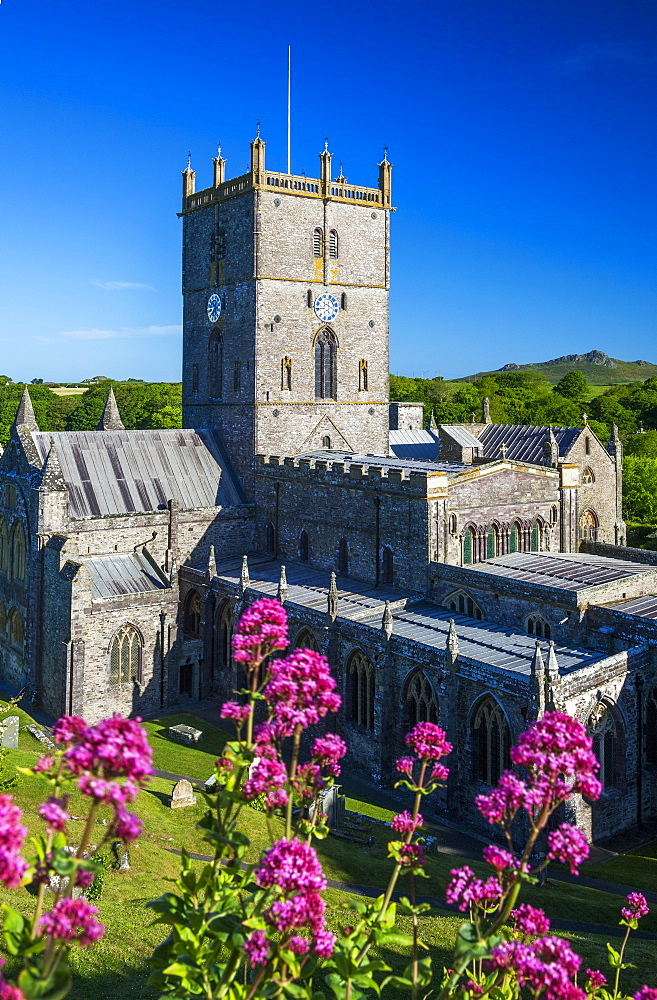 St. Davids Cathedral, Pembrokeshire, Wales, United Kingdom, Europe