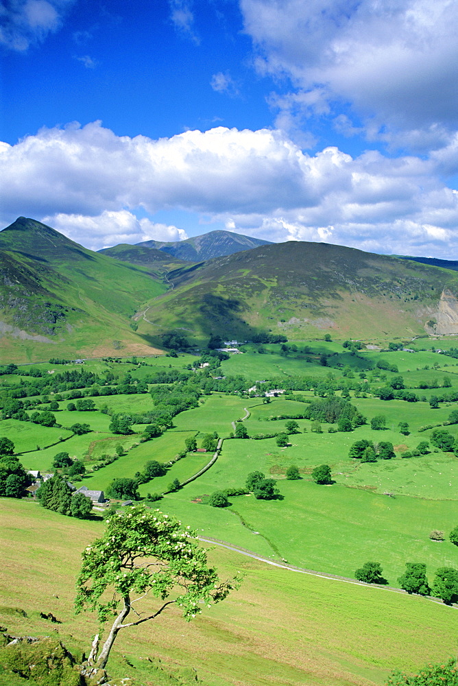 Derwent Fells from Cat Bells, Lake District National Park, Cumbria, England, UK