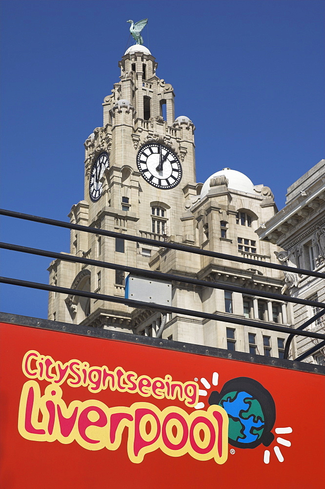 Sightseeing bus and Liver Building, Albert Dock, Liverpool, Merseyside, England, United Kingdom, Europe