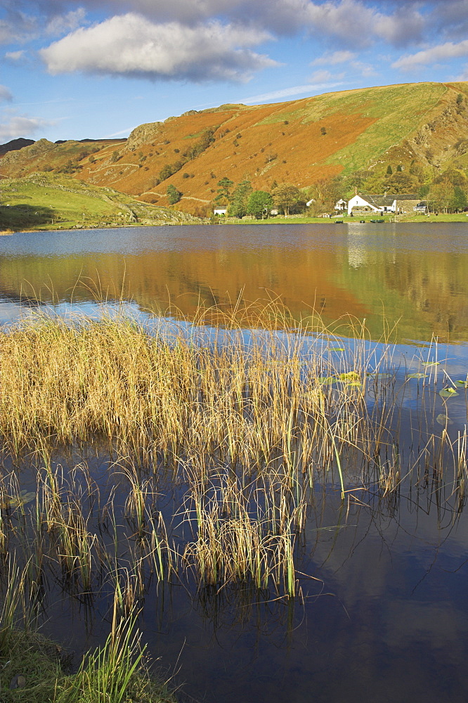 Autumn colours, Watendlath Tarn, Borrowdale, Lake District National Park, Cumbria, England, United Kingdom, Europe