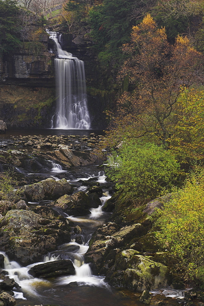 Thornton Force, Ingleton waterfalls walk, Yorkshire Dales National Park, North Yorkshire, Yorkshire, England, United Kingdom, Europe