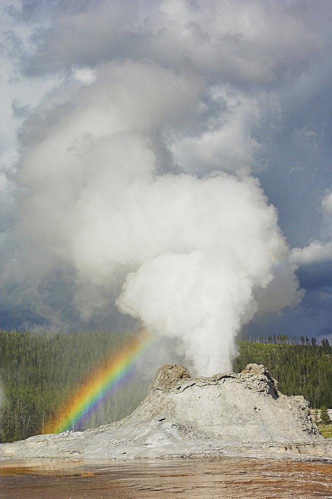 Eruption of Castle Geyser with rainbow in the spray, Upper Geyser Basin, Yellowstone National Park, UNESCO World Heritage Site, Wyoming, United States of America, North America