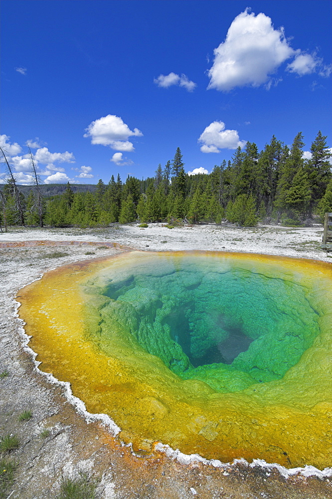 Morning Glory Pool, Upper Geyser Basin, Yellowstone National Park, UNESCO World Heritage Site, Wyoming, United States of America, North America