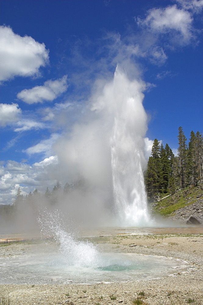 Grand Geyser erupting, Upper Geyser Basin, Yellowstone National Park, UNESCO World Heritage Site, Wyoming, United States of America, North America