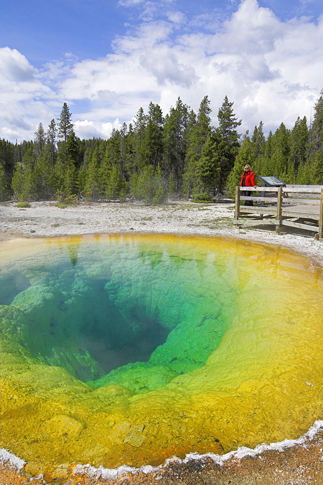 Female tourist on boardwalk by the Morning Glory Pool, Upper Geyser Basin, Yellowstone National Park, UNESCO World Heritage Site, Wyoming, United States of America, North America