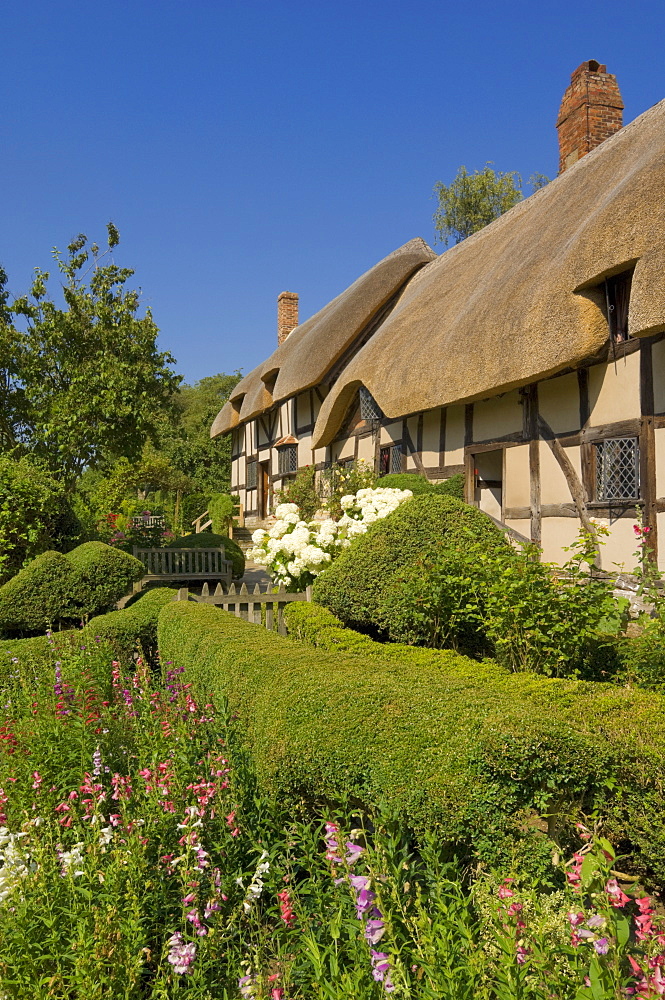 Cottage garden at Anne Hathaway's thatched cottage, Shottery, near Stratford-upon-Avon, Warwickshire, England, United Kingdom, Europe