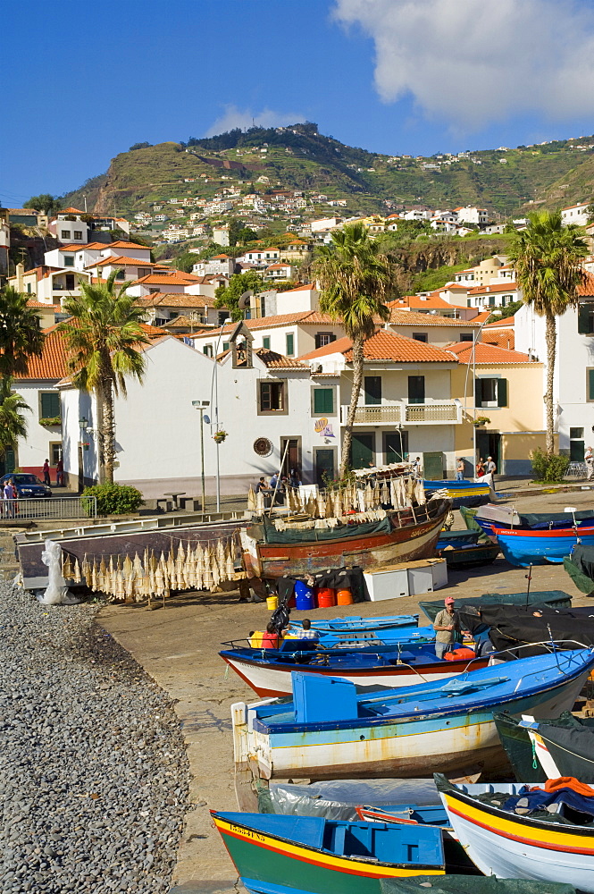 Drying salt cod (bacalhau) and fishing boats in the small south coast harbour of Camara de Lobos, Madeira, Portugal, Atlantic, Europe