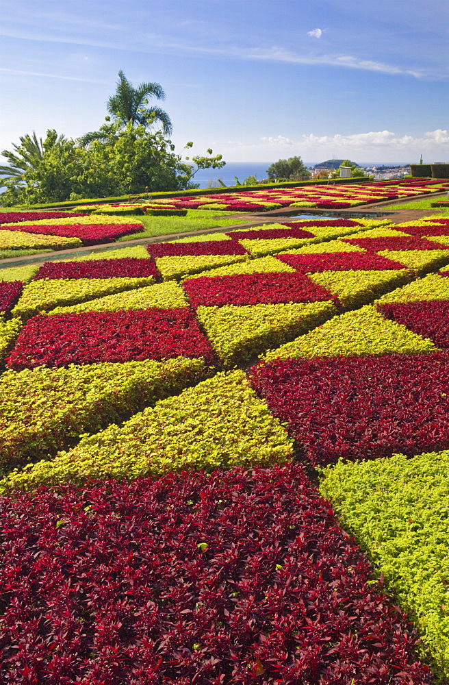 Formal gardens in the Botanical gardens (Jardim Botanico), above Funchal, Madeira, Portugal, Europe