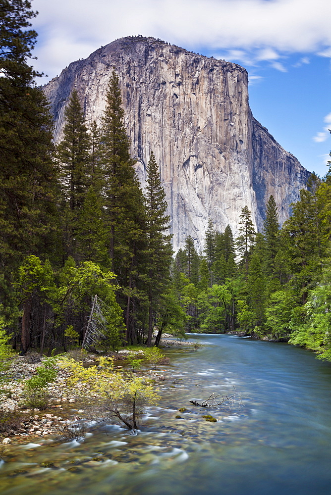 El Capitan, a 3000 feet granite monolith, with the Merced River flowing through Yosemite Valley, Yosemite National Park, UNESCO World Heritage Site, Sierra Nevada, California, United States of America, North America