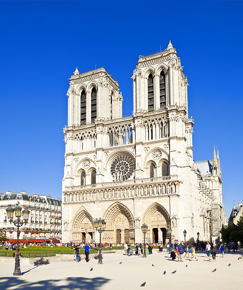 Front facade of the Cathedral of Notre Dame, Ile de la Cite, Paris, France, Europe