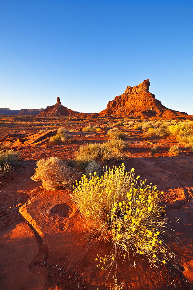 Sitting Hen Butte and Rooster Butte at sunset, Valley of the Gods, Utah, United States of America, North America 