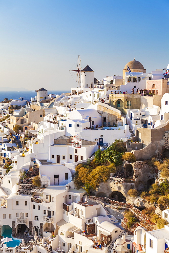 Windmill and traditional houses, Oia, Santorini (Thira), Cyclades Islands, Greek Islands, Greece, Europe