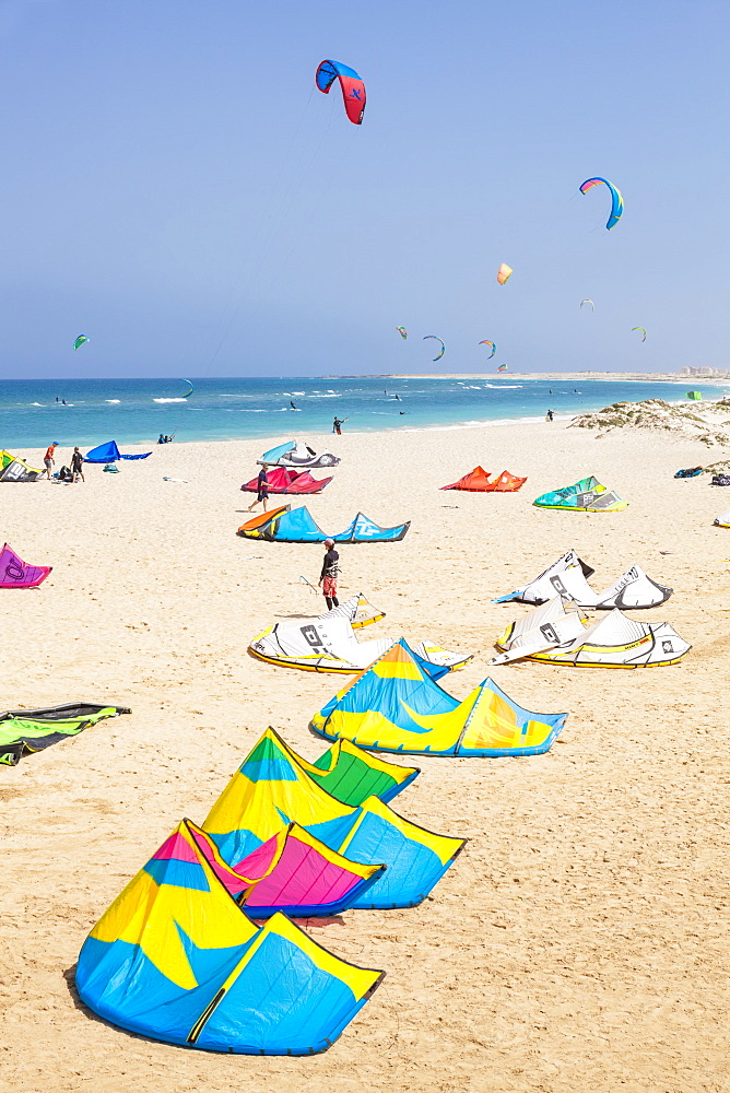 Kite surfers and kite surfing on Kite beach, Praia da Fragata, Costa da Fragata, Santa Maria, Sal Island, Cape Verde, Atlantic, Africa