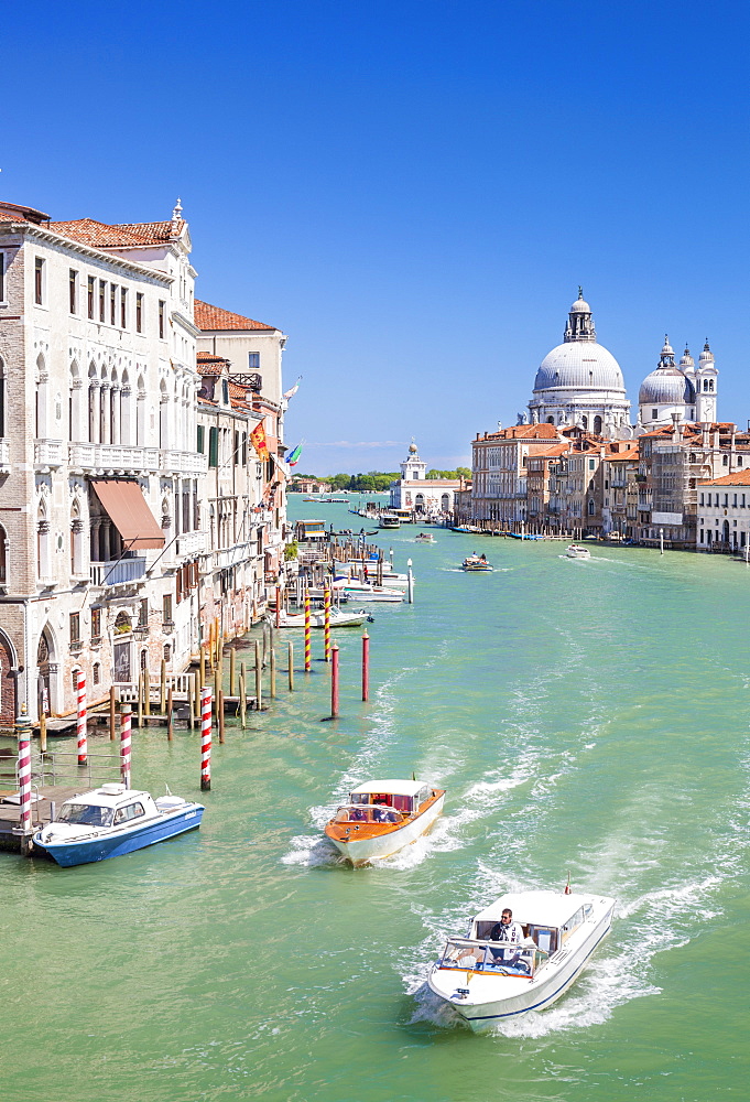 Vaporettos (water taxis) passing Palazzo Barbaro and the Santa Maria della Salute on the Grand Canal, Venice, UNESCO World Heritage Site, Veneto, Italy, Europe