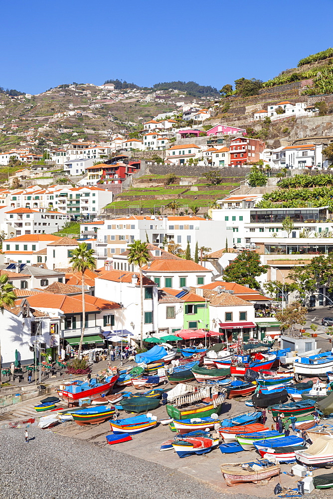 Traditional colourful fishing boats on the beach in Camara de Lobos fishing village, Madeira, Portugal, Atlantic, Europe