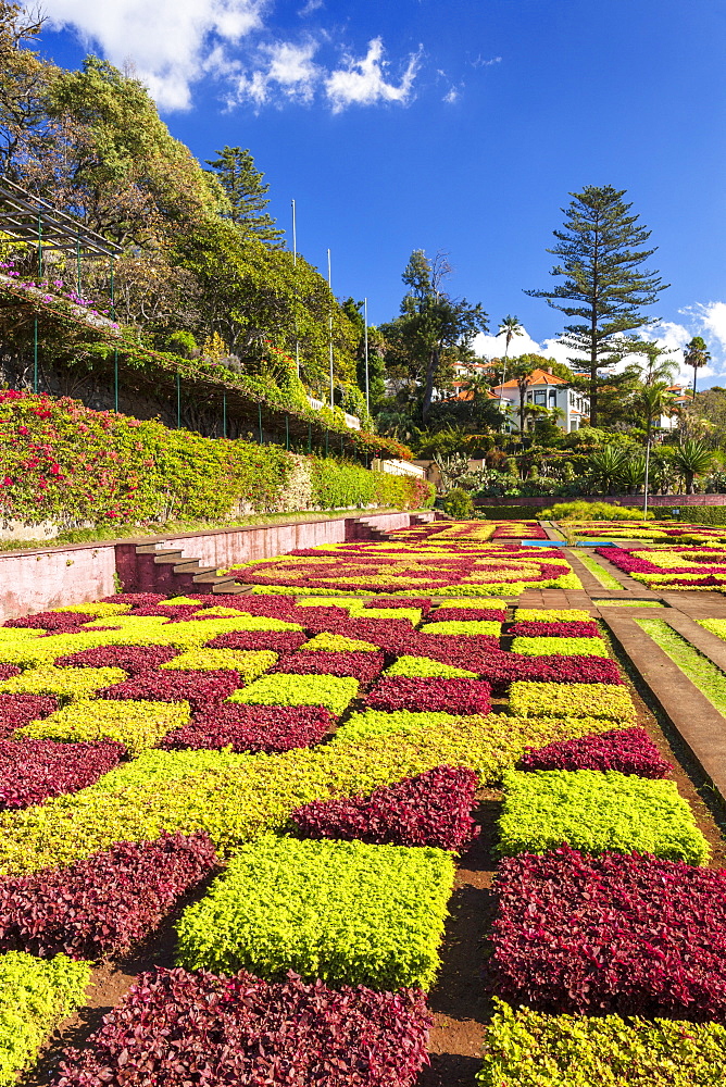 Formal garden in Madeira Botanical gardens (Jardim Botanico), above the capital city of Funchal, Madeira, Portugal, Atlantic, Europe