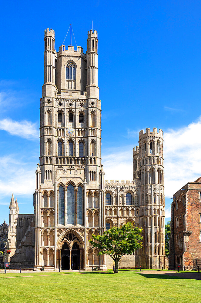 Ely Cathedral (Cathedral Church of the Holy and Undivided Trinity) from Palace Green, Ely, Cambridgeshire, England, United Kingdom, Europe