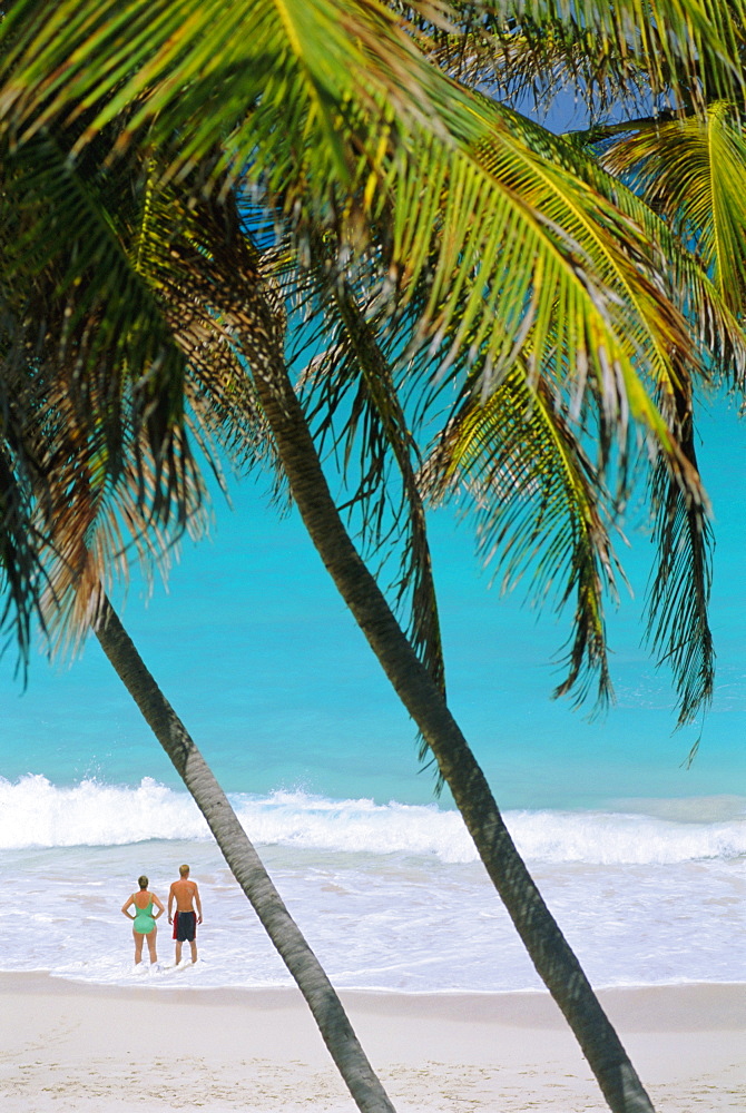 Bottom Bay Beach, East Coast, Barbados, Caribbean, West Indies