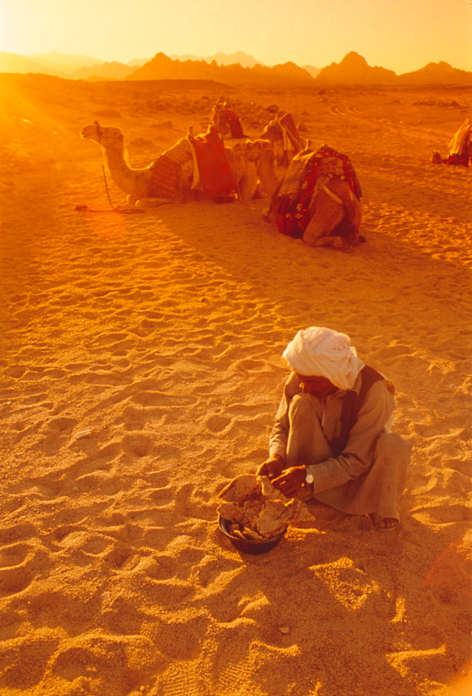 Bedouins, Sinai, Egypt, North Africa