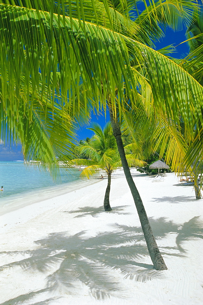 Beach, Bora Bora (Borabora), Society Islands, French Polynesia, South Pacific Islands, Pacific