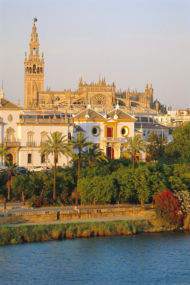 Town skyline, Jerez de la Frontera, Andalucia (Andalusia), Spain, Europe