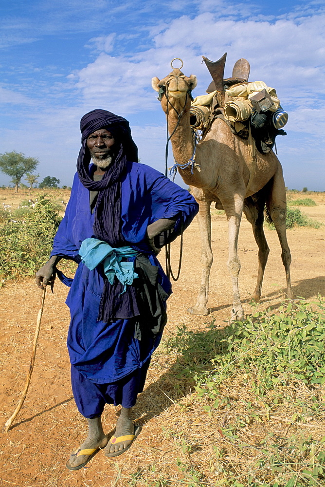 Man of the desert with his camel, Mopti region, Mali, Africa