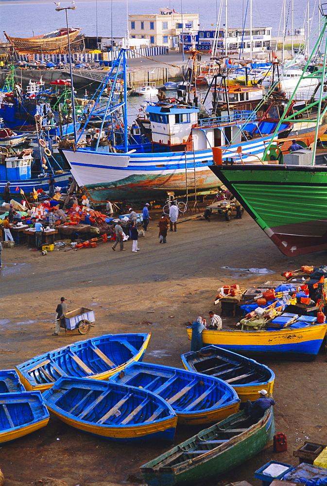 Fishing boats in the harbour, Essaouira, Morocco, North Africa