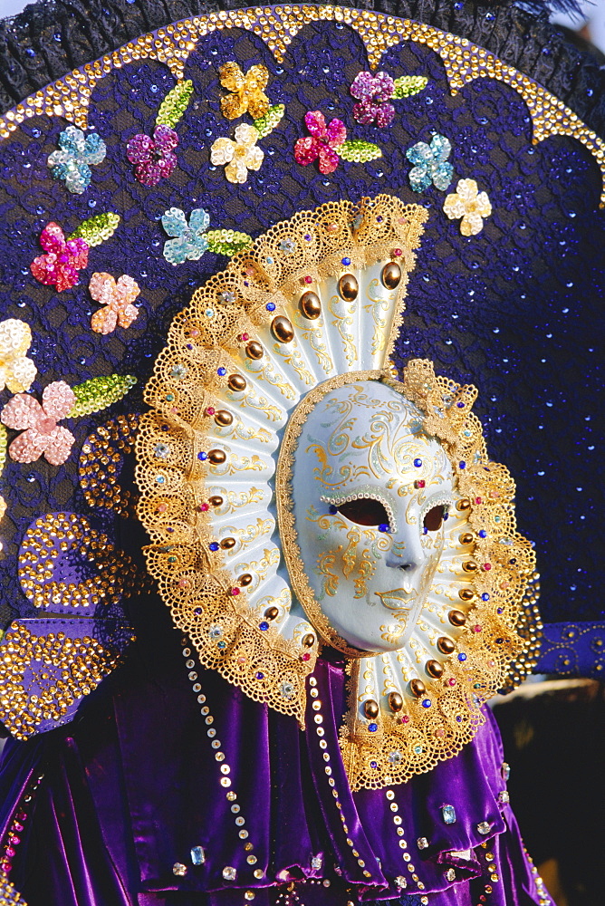 Person wearing masked carnival costume, Venice Carnival, Venice, Veneto, Italy