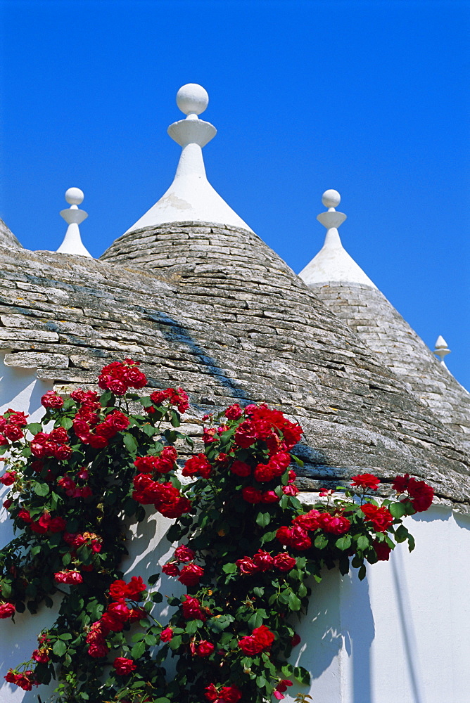 Alberobello, typical houses, Apulia (Puglia), Italy