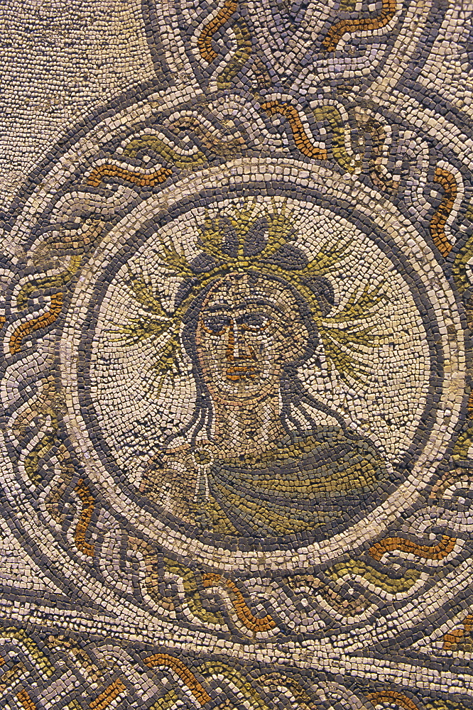 Mosaic, Roman archaeological site, Volubilis, Meknes Region, Morocco, North Africa, Africa