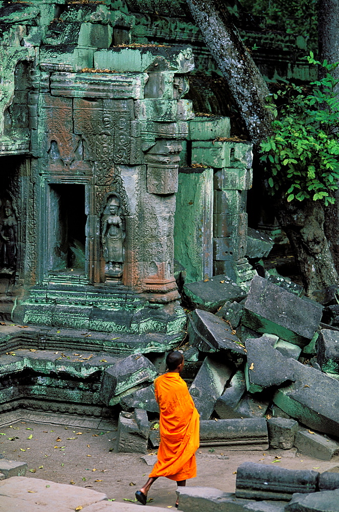 Ta Prohm Temple, Angkor, Cambodia, Asia