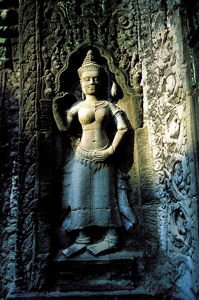 Rock carving in Ta Prohm temple, Angkor, Cambodia, Asia