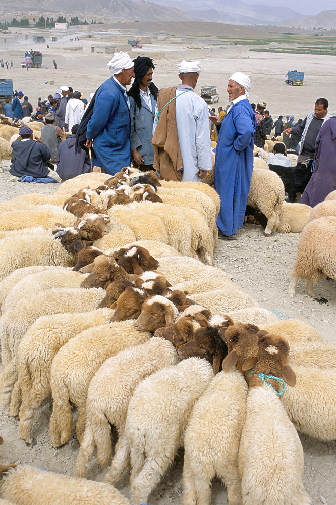 Moussem des fiancees, Imilchil, High Atlas, Morocco, North Africa, Africa