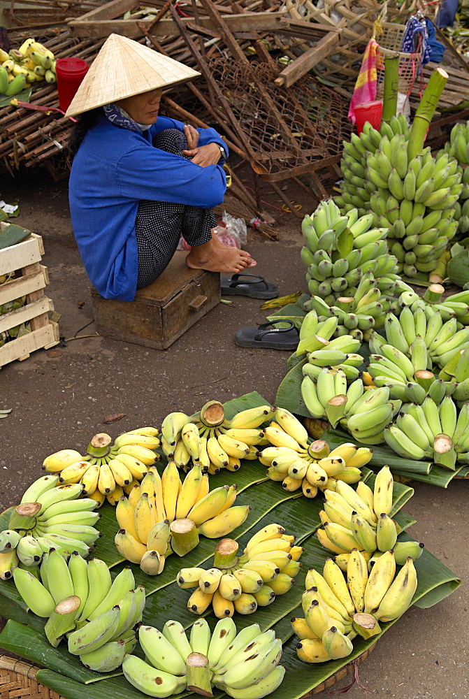 Dong Ba market, Hue, Vietnam, Indochina, Southeast Asia, Asia