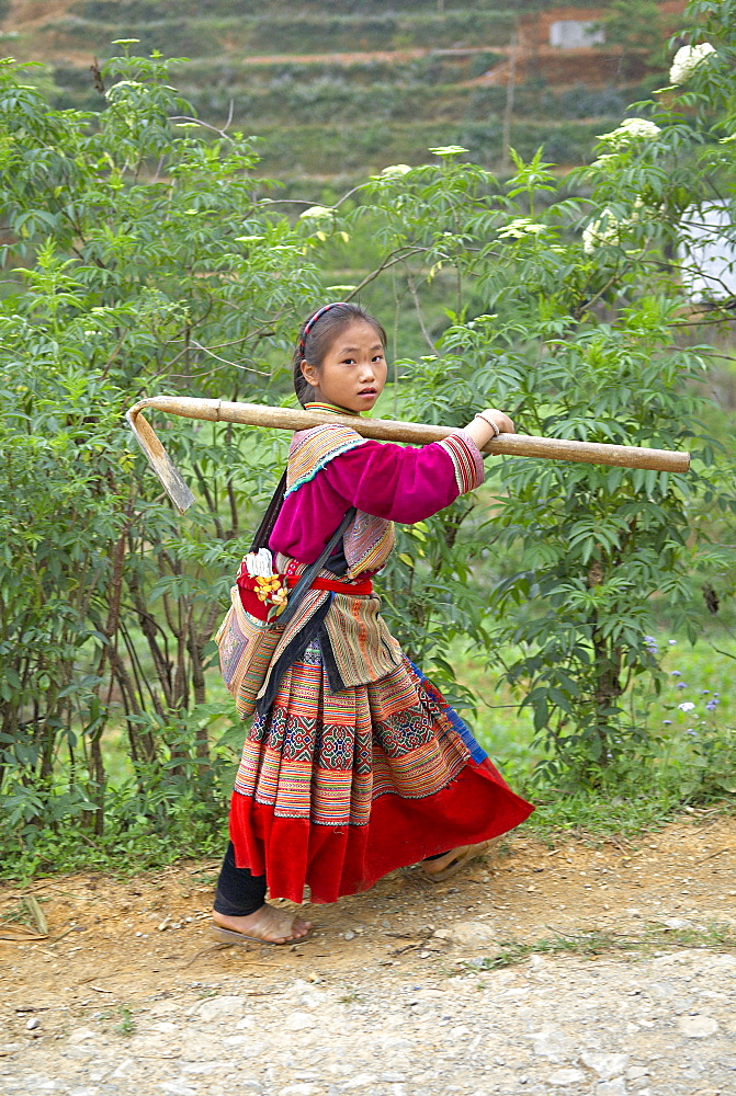 Flower Hmong ethnic group, Ban Pho village, Bac Ha area, Vietnam, Indochina, Southeast Asia, Asia