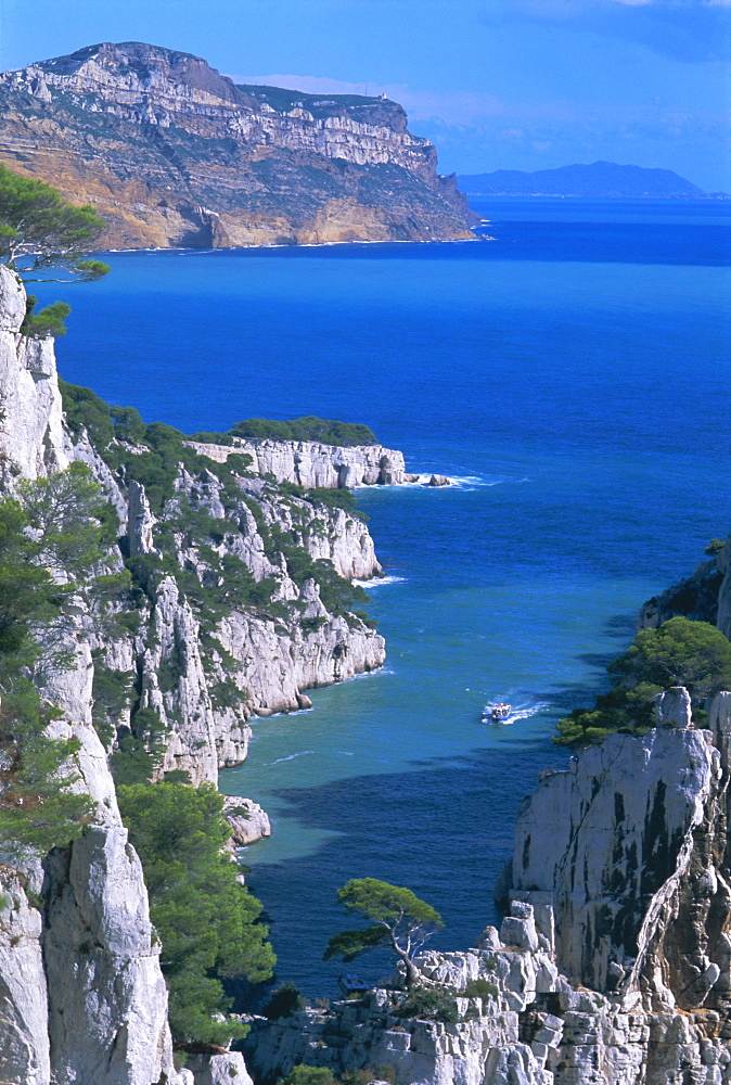 Cassis, Calanque d'en Vau, Cote des Calanques, Bouches du Rhone, Mediterranean coast, Provence, France, Europe