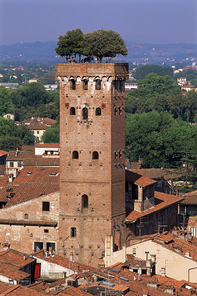 Tour des Guinigi, Lucca, Tuscany, Italy, Europe