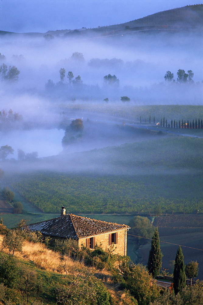 Montalcino, Tuscany, Italy, Europe