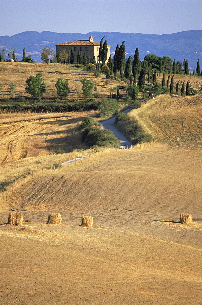 Rolling landscape in Siena province, Tuscany, Italy, Europe