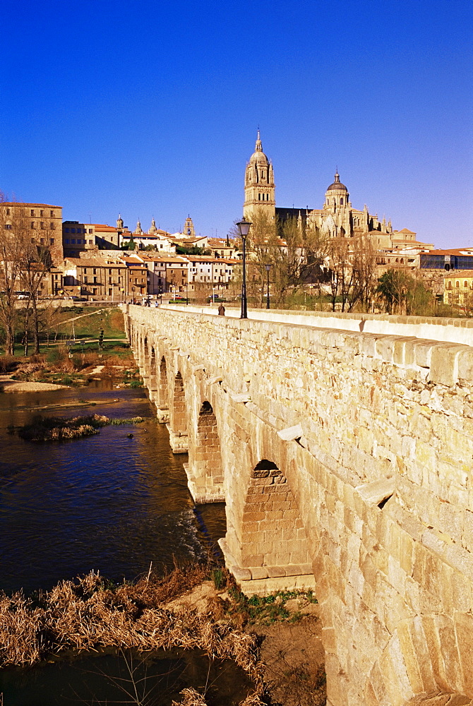 The Roman bridge and city from the Tormes River, Salamanca, Castilla Leon, Spain, Europe