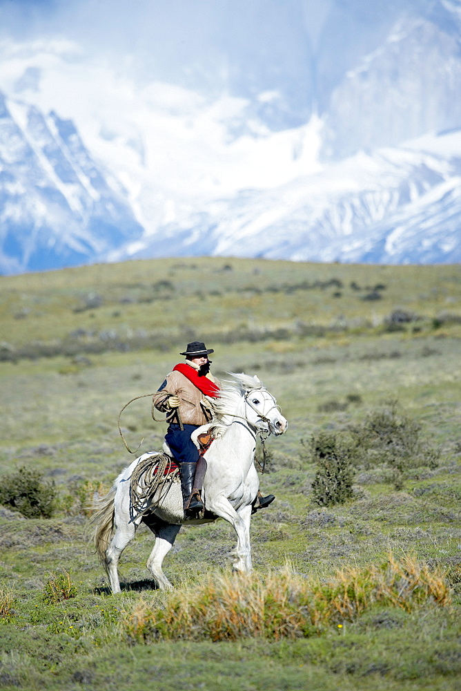 A gaucho riding his horse with Cuernos del Paine (Horns of Paine) mountains in the background, Torres del Paine National Park, Patagonian Andes, Patagonia, Chile, South America