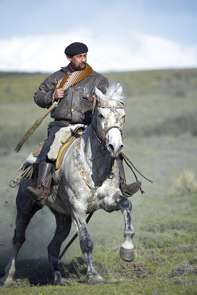 A gaucho riding his horse, Torres del Paine National Park, Patagonian Andes, Patagonia, Chile, South America